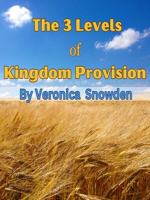 cover image of The 3 Levels of Kingdom Provision